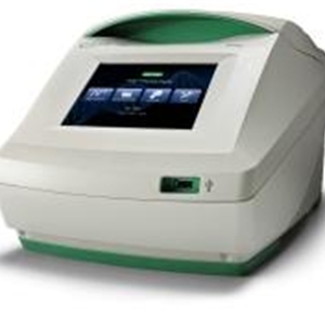 进口梯度PCR仪美国原装进口T100