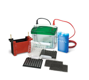 伯乐小型 Mini Trans-Blot® 转印槽170-3930